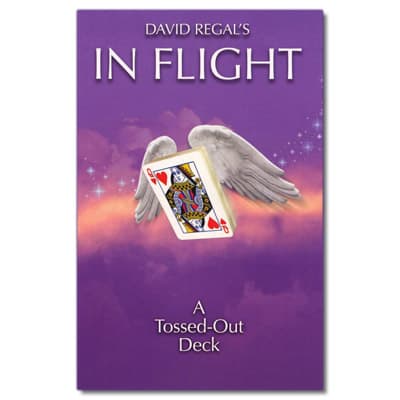 In Flight by David Regal
