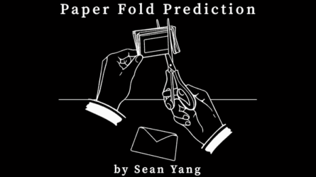 Paper Fold Prediction by Sean Yang
