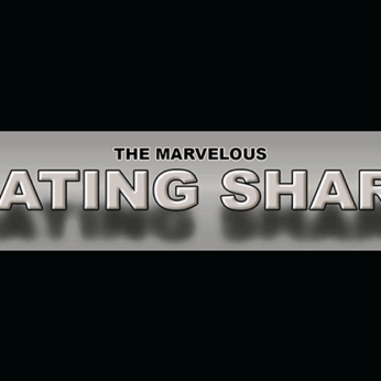 THE MARVELOUS FLOATING SHARPIE by Matthew Wright