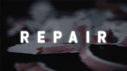 Repair by Juan Capilla - DVD