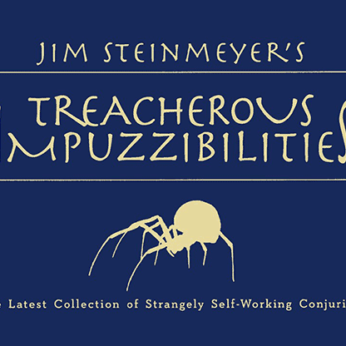 Treacherous Impuzzibilities by Jim Steinmeyer - Book