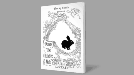 Down The Rabbit Hole by Reese Goodley - Book