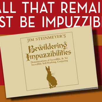 Bewildering Impuzzibilities by Jim Steinmeyer - Book