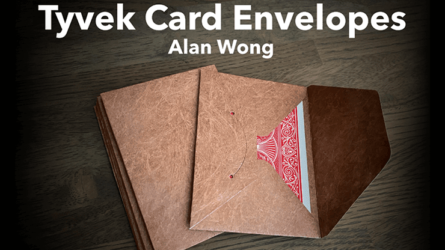Tyvek Card Envelopes 10 pk BROWN by Alan Wong