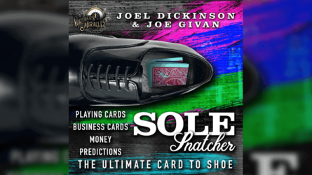 SOLE SNATCHER by Joel Dickinson & Joe Givan
