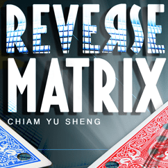 REVERSE MATRIX by Chiam Yu Sheng