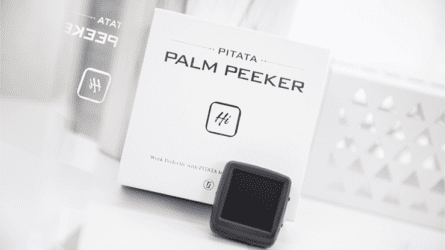 Palm Peeker (Gimmicks and Online Instructions) by PITATA MAGIC - Trick