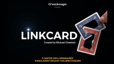 LinkCard by Mickaël Chatelain