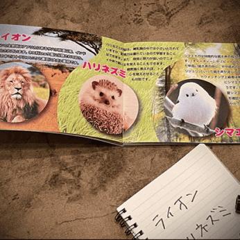 Mentalist's Animal Photo book 2024 by Tenyo Magic