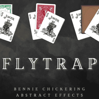 Fly Trap by Bennie Chickering
