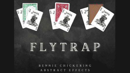 Fly Trap by Bennie Chickering